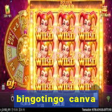 bingotingo canva pro gratis