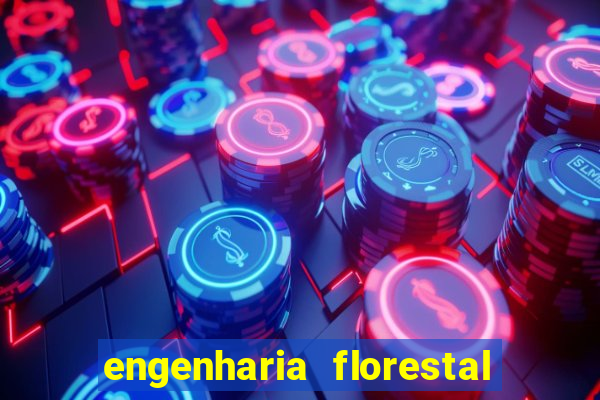 engenharia florestal ead cruzeiro do sul