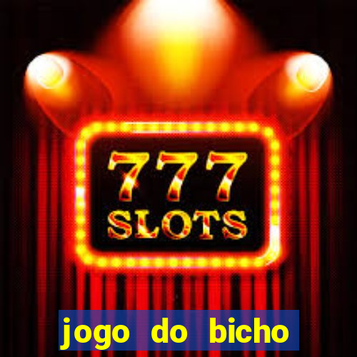 jogo do bicho crash bingo