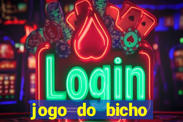 jogo do bicho crash bingo