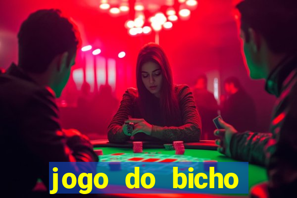 jogo do bicho crash bingo