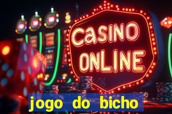 jogo do bicho crash bingo