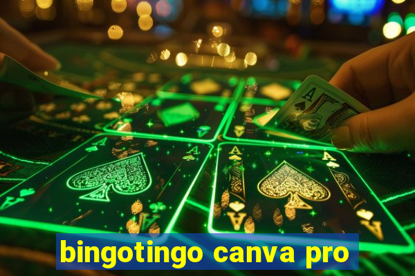 bingotingo canva pro