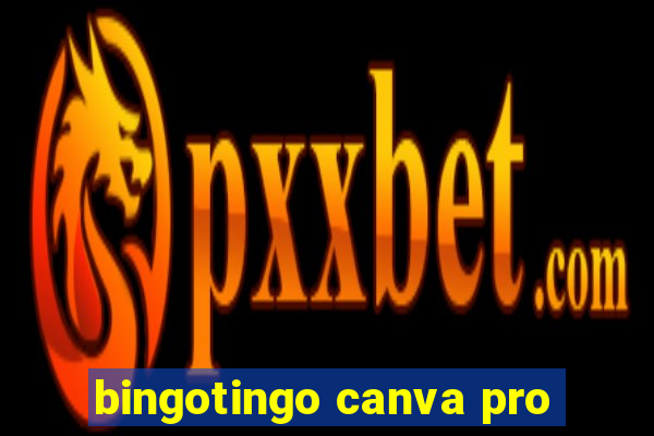 bingotingo canva pro