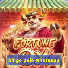 bingo pelo whatsapp